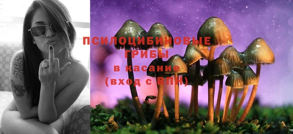 эйфоретик Абаза