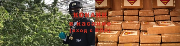 PSILOCYBIN Алзамай