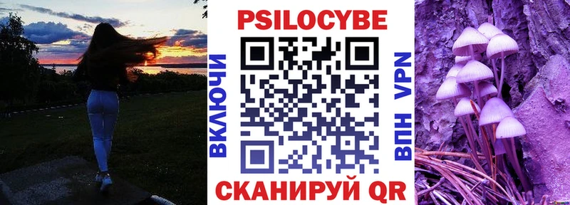 Галлюциногенные грибы Psilocybine cubensis  hydra ONION  Димитровград 